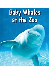 Baby Whales at the Zoo