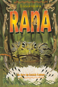 El Ciclo de Vida de la Rana