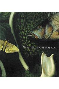 Wade Schuman: Aspects of View