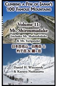 Climbing a Few of Japan's 100 Famous Mountains - Volume 11