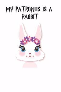 My Patronus Is A Rabbit