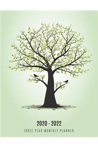Three Year Monthly Planner 2020-2022