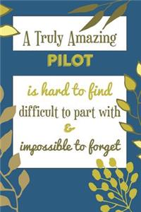 A Truly Amazing Pilot Is Hard To Find Difficult To Part With & Impossible To Forget