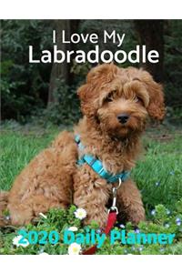 I Love My Labradoodle: 2020 Daily Planner