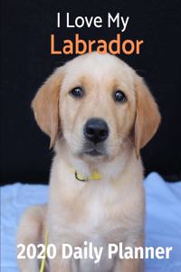 I Love My Labrador