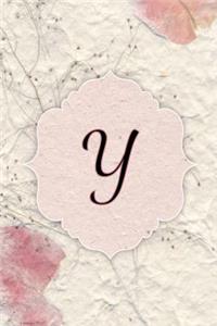 Y