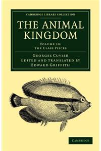 The Animal Kingdom