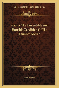 What Is the Lamentable and Horrible Condition of the Damned Souls?