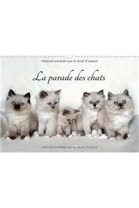 La Parade Des Chats 2017