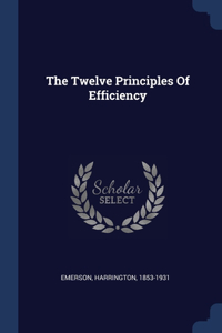 Twelve Principles Of Efficiency