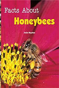 Rigby Flying Colors: Leveled Reader Bookroom Package Turquoise Facts about Honeybees