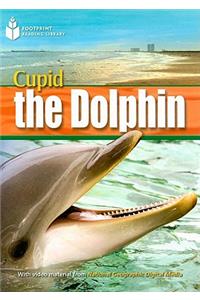 Cupid the Dolphin: Footprint Reading Library 4