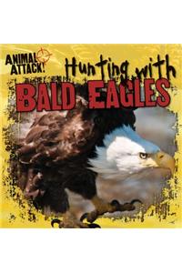 Hunting with Bald Eagles
