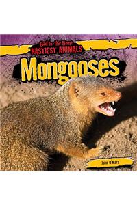 Mongooses