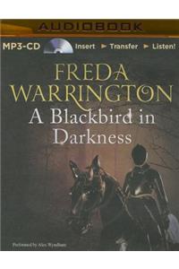 Blackbird in Darkness