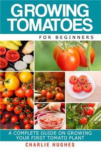 Growing Tomatoes for Beginners