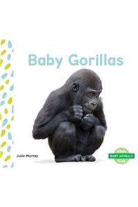 Baby Gorillas