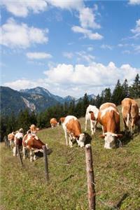 Cows Grazing in a Mountain Meadow Journal