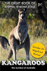 Kangaroos