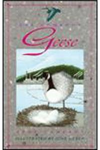 The Gumboot Geese