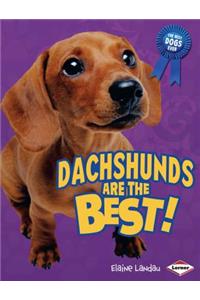 Dachshunds Are the Best!