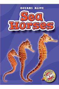Sea Horses