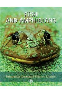 Fish and Amphibians