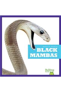 Black Mambas