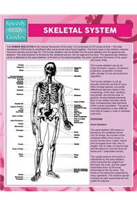 Skeletal System (Speedy Study Guide)