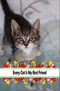 Every Cat Is My Best Friend