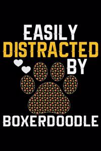 Easily Distracted by Boxerdoodle