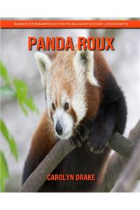 Panda Roux