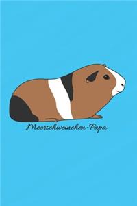 Meerschweinchen-Papa