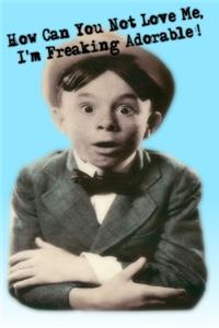 How Can You Not Love Me, I'm Freaking Adorable !