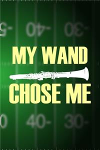 My Wand Chose Me