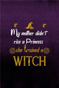 My Mother didn't Rise A Princess She Trained A Witch