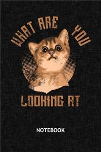 What Are You Looking At