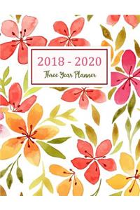 2018 - 2020 Three Year Planner