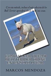 Como Hacer que Mi Bull Terrier Orine en un Solo Lugar