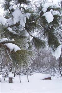 Journal - Winter Snowstorm