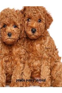 Poodle Puppy Journal