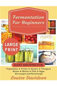 Fermentation for Beginners ***Large Print Edition***