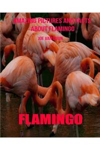 Flamingo: Amazing Pictures and Facts about Flamingo