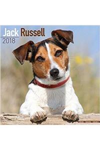 Jack Russell Calendar 2018