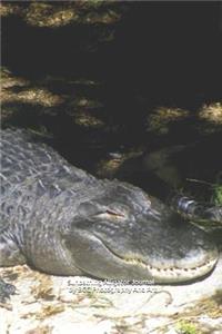 Sunbathing Alligator Journal
