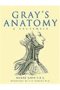 Grays Anatomy