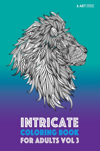 Intricate Coloring Book For Adults Vol 3