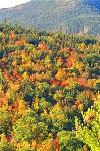 Fall Journal Mountainside Autumn Colors