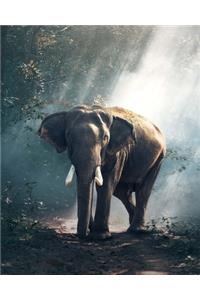 Daily Organizer and Planner