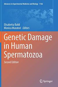 Genetic Damage in Human Spermatozoa